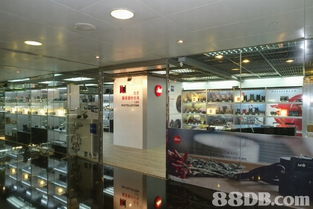 全方位攝影服務指南 從婚紗到家庭，捕捉每個珍貴瞬間